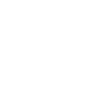 Decorative lightning icon.